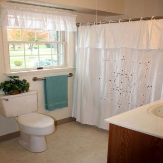 A bright and clean bathroom with a white shower curtain, toilet, indoor plant, and blue towel.