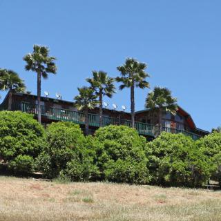 A hillside house surrounded by lush greenery and palm trees under a clear blue sky.