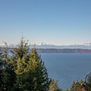 A scenic view of the ocean with evergreen trees in the foreground and snow-capped mountains in the distance under a clear blue sky.