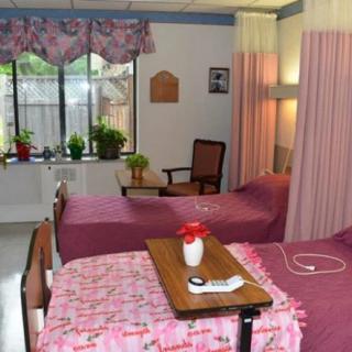 A hospital room with two beds, separated by curtains, and decorated with plants and flowers.