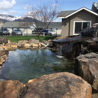 A serene backyard pond with a waterfall surrounded by rocks near a house.