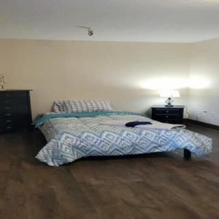 A minimalist bedroom with a bed, dresser, and lamp.