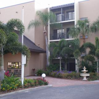 A building entrance surrounded by lush palm trees and landscaping, featuring a small fountain.