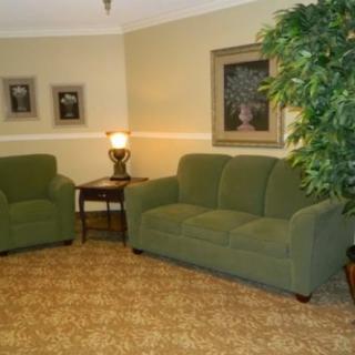A cozy living room with green sofas and a lamp on a side table.
