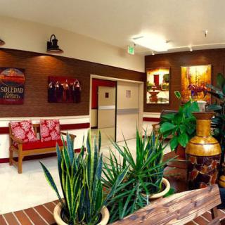A welcoming lobby featuring vibrant plants, comfortable seating, and colorful artwork.