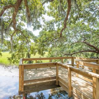 A peaceful wooden deck under the shade of lush green trees.