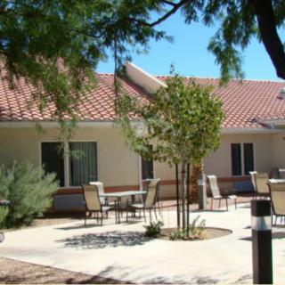 A sunny patio area with chairs and trees outside a house.
