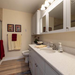 A stylish modern bathroom featuring a clean vanity and decorative touches.