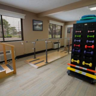 A well-equipped physical therapy room featuring balance bars and a rack of colorful dumbbells.