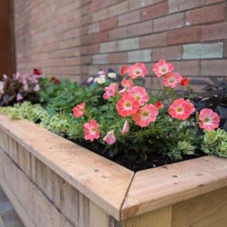 A vibrant display of flowers in a wooden planter against a brick wall.