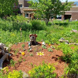 A vibrant garden filled with various plants and flowers, surrounded by natural elements.
