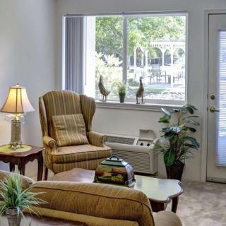 A cozy living room with comfortable seating, a lamp, and decorative plants near a window.