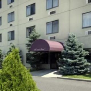 A hotel entrance with a burgundy awning and surrounding evergreen trees.
