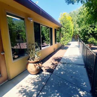 A sunny view of the exterior of a building with large windows and a pathway lined with plants.