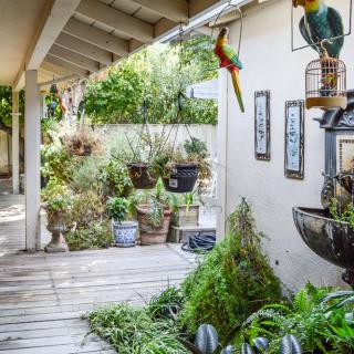 A charming garden patio decorated with lush greenery and colorful parrot ornaments.