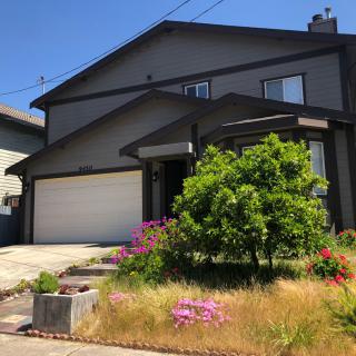 A suburban house with a garden and garage.