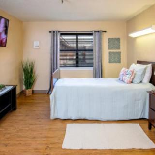 A modern and minimalist bedroom with a comfortable bed, wooden flooring, and decorative elements like a plant and wall art.