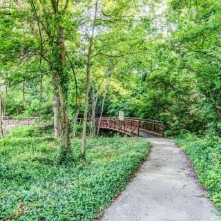 A serene forest path leading to a wooden bridge surrounded by lush greenery.