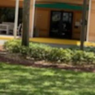 A sunny day outside a building with green grass and trees.