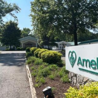 Wellsprings At Amelia