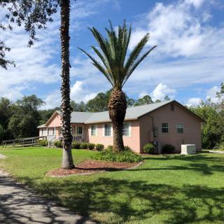 A brick house surrounded by palm trees under a bright blue sky with clouds.