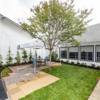 A backyard garden with a patio area and outdoor seating under a tree.