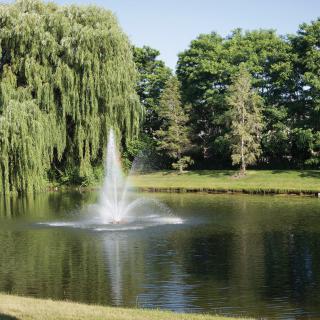 A serene pond with a fountain surrounded by lush greenery and trees.