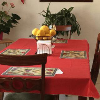 A dining table with a red tablecloth is set with placemats and has a bowl of lemons as the centerpiece, surrounded by lush green plants.