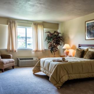 A cozy bedroom with a large bed, warm lighting, and a window letting in natural light.