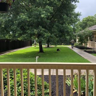A peaceful backyard with lush greenery and a walking path.