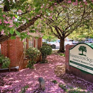 A charming garden in full bloom with a pathway covered in pink petals, leading to a brick building on a sunny spring day.