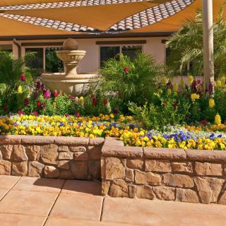 A beautifully landscaped garden with a variety of colorful flowers and a fountain on a sunny patio.