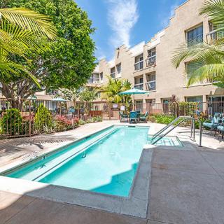 A sunny outdoor pool area at an apartment complex surrounded by palm trees and lounge chairs.