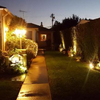 A beautifully lit garden pathway at night with well-maintained hedges and outdoor lighting.