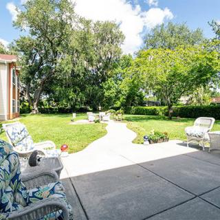 A sunny garden view with a patio, featuring chairs and a winding pathway leading through lush greenery.