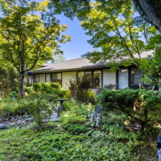 A serene residential home surrounded by lush greenery and trees.