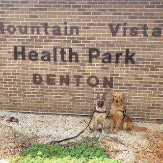 Mountain Vista Health Park