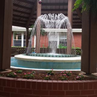 A serene fountain surrounded by lush landscaping, creating a tranquil outdoor space.
