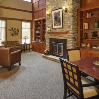 A cozy living room with a fireplace and bookshelves.