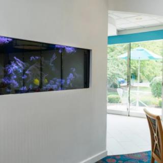 A modern interior featuring an embedded aquarium and large glass windows offering natural light.