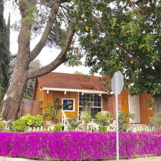 Charming house surrounded by vibrant purple flowers and lush trees.