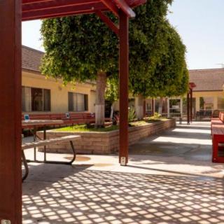 A sunny courtyard with benches, trees, and a pergola casting shadows.