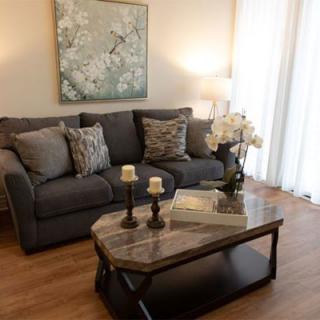 A cozy living room with a modern sofa, stylish coffee table, and elegant decor.