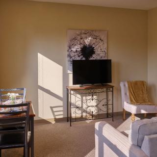 A cozy living room with a TV, artwork, and sunlight streaming in.