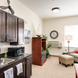 A modern and cozy living area with a kitchenette, featuring elegant furniture, a large wall clock, and indoor plants.