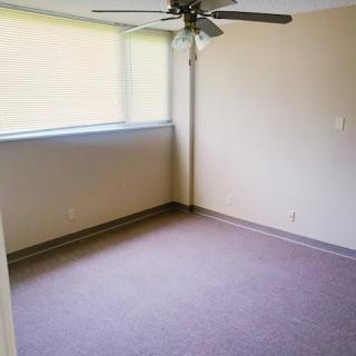 An empty room with a carpeted floor, featuring a ceiling fan and sunlight streaming through the window.