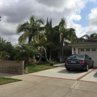 A suburban house with a car parked in the driveway, surrounded by palm trees under a cloudy sky.