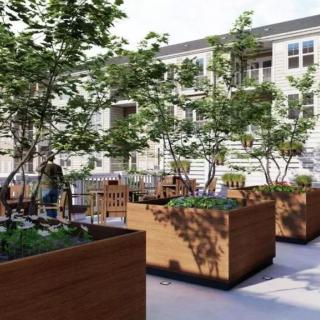 A rooftop garden with large wooden planters and trees creating a serene outdoor space.