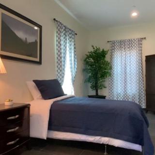 A cozy bedroom with a neatly made bed, modern decor, and a large potted plant by the window.