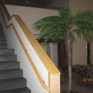 An indoor staircase with a wooden handrail next to a decorative palm tree.